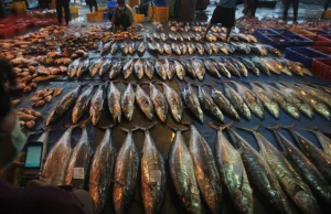 Chiny: nawet ryby są testowane na Covida