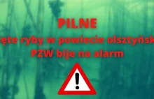 PILNE! Śnięte ryby w rezerwacie Kwiecewo w powiecie olsztyńskim. PZW bije...