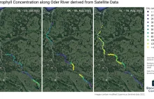 Dane satelitarne potwierdzają masowy zakwit alg w Odrze