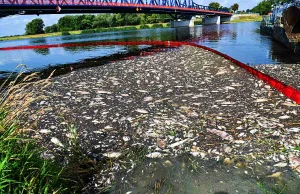 Nowa PISia tarcza "Odra plus". To już robi się niesmaczne.