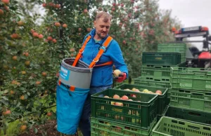 Crossowcy rozjeżdżali mu pole. „Za karę” przez tydzień będą pracować w...