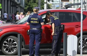 Tak strażnicy miejscy we Wrocławiu nabijają statystyki. "To 70 proc. mandatów"