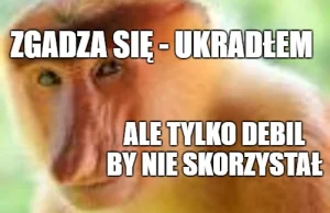 Plaga drobnych kradzieży w sklepach. Z półek znika przede wszystkim żywność.