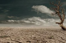 KE: Doświadczamy najgorszej suszy od pięciu wieków