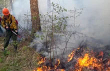 Rosyjskie władze obwiniają podpalaczy o masowe pożary lasów. Dym już pod Moskwą