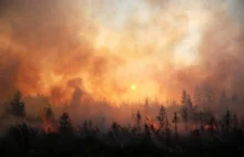 Pożary lasów w Rosji pochłonęły ponad 100 000 hektarów w ciągu ostatnich 3 dni