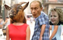 Rosja największy kraj z legalną zoofilią