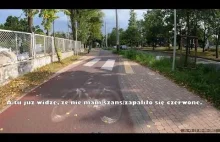 Jak rowerzysta omija czerwone światło bezproblemowo( ͡° ʖ̯ ͡°)