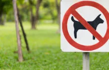 Zakaz wprowadzania zwierząt do parków czy na place zabaw jest nielegalny