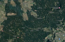 Tak z kosmosu widać wycinanie lasów w Polsce. PiS wyprzedaje majątek narodowy