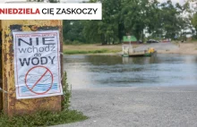 Polskie rzeki - ponad 90 proc. jest w złym stanie. Co można zrobić? [WYWIAD