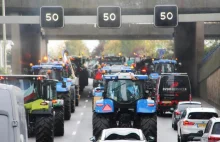 Holandia - Rolnicy vs rząd