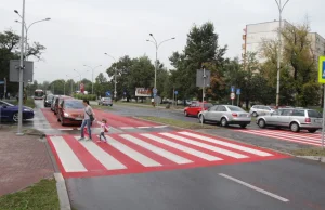 Potrącił dziewczynkę na pasach i zbiegł. Potrącone dziecko miało 1,2 promila