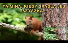 Kiedy coś pójdzie nie tak podczas gromadzenia zapasów na zimę.