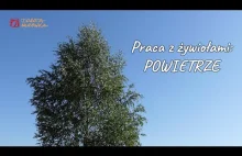 Praca z żywiołami: POWIETRZE #82