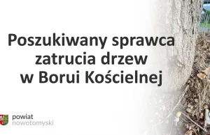 Uwaga! Zatruto 9 dębów i 1 brzozę! Poszukiwany sprawca! - WIELKOPOLSKA