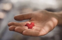 Vegan News: zabiła swoje dziecko karmiąc je tylko warzywami i owocami.