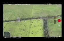 szarża dwóch rosyjskich czołgów po polu minowym