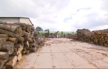 Rekordowy popyt na drewno opałowe w Polsce. „Nie starczy go dla wszystkich”