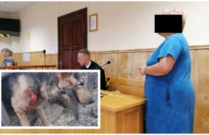 Ciągnęła psa za samochodem. Sołtyska wsi Wirki stanęła dzisiaj przed sądem...