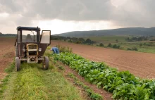 Rząd rozważa stworzenie nowej tarczy dot. dopłat dla rolnikom