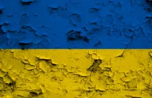 Odbudowa Ukrainy – 1,2 tys. firm z Polski chce wziąć w niej udział -...