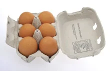 Sprzedawali jaja z chowu klatkowego jako „wiejskie”