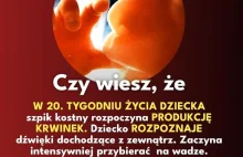 Rozwój dziecka w 20 tygodniu w łonie matki.