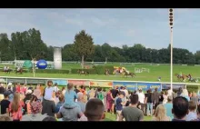 Koń łamie nogę podczas wyścigu Wielka Wrocławska 2022 - zostaje od razu uśpiony