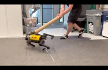 Robot który nauczył się dzięki A.I. sam chodzić w ciągu 1 godziny