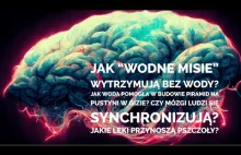 Synchronizacja fal mózgowych, odwodnione niesporczaki i leki od pszczół - #051