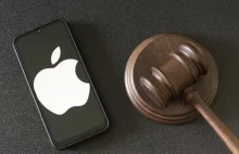 Apple z zakazem sprzedaży iPhone'ów bez ładowarek w zestawie