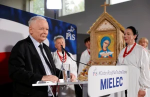 Kaczyński znów mówi, że euro kosztuje 2,55 zł. O co chodzi prezesowi PiS?...