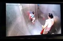 Pies ugryzł dziecko w windzie w Indiach