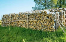 Czy jest drewno na opał? Pytamy właścicieli składów, tartaków i leśniczych