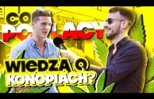 czy Polacy są za LEGALIZACJĄ MARIHUANY? | Sonda Uliczna o Konopiach