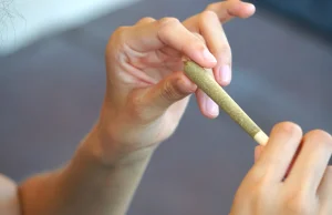 Leniwy palacz to mit? Naukowcy zajęli stanowisko w sprawie marihuany