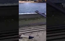 Rosyjskie BMP zatonęło przeprawiając się przez rzekę.