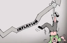 Członek RPP: Inflacja na początku przyszłego roku sięgnie 20 procent