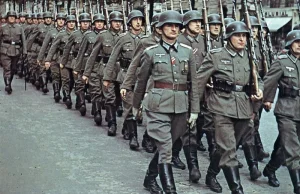 Straty osobowe Polski w czasie II wojny światowej – 220 zmarłych na 1000 osób
