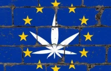 Czechy wzywają do dekryminalizacji marihuany