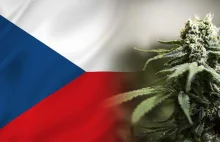 Czechy mogą wkrótce zalegalizować sprzedaż i uprawę marihuany