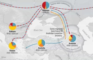 Indoeuropejczycy i ich pochodzenie – nowe dane genetyczne!