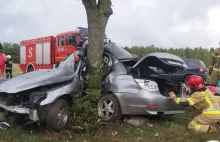 Śmiertelne uderzenie w drzewo! Nie żyje młody kierowca BMW - WIELKOPOLSKA