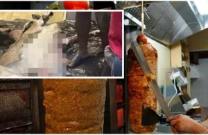 Martwa koza w lokalu z kebabem. Właściciel: "Zabili ją pracownicy na własny...