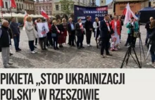POTĘŻNY sukces pikiety "stop ukrainizacji Polski" Konfederacji Korony P. Brauna