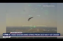 Odrzutowiec marynarki wojennej zasysa ptaka podczas lotu