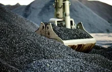 Brakuje węgla dla Polaków, a eksport węgla koskowego rośnie