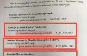 Patologia polskiej polityki na jednym dokumencie.