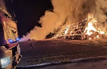 Seria podpaleń - rolnicy mają dość. Wyznaczyli nagrodę. Kilka pożarów w Poznaniu